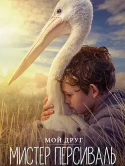 Мой друг мистер Персиваль