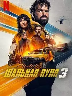 Шальная пуля 3