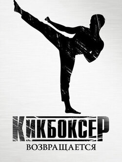Кикбоксер возвращается