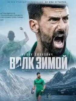 Новак Джокович: Волк зимой